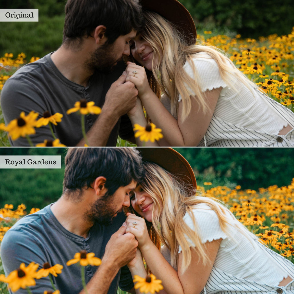 Royal Gardens -  Single Color Palette Lightroom Presets & AI Tools