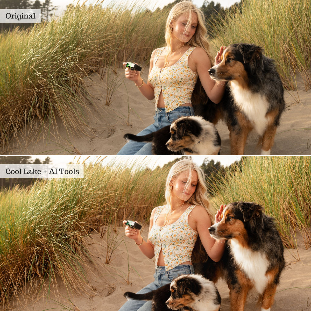 Portraits Preset Bundle (12 collections) for Lightroom & Photoshop