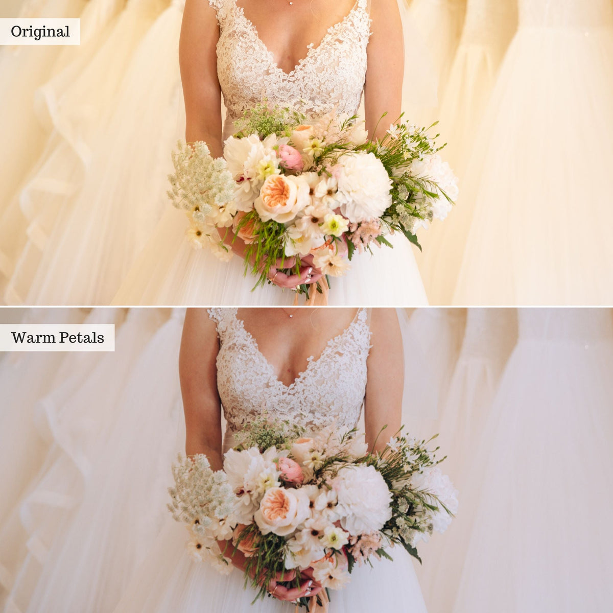 Warm Petals -  Single Color Palette Lightroom Presets & AI Tools