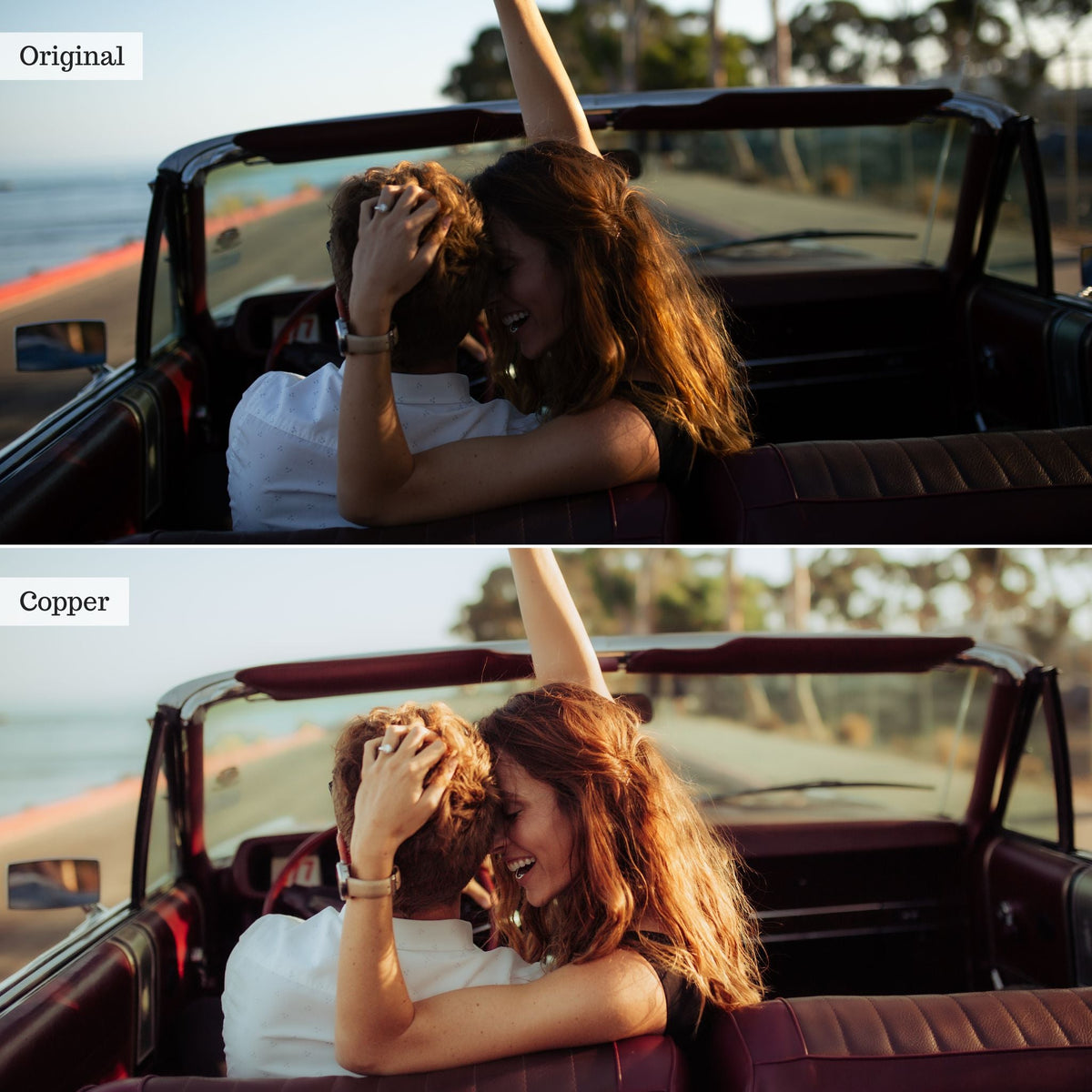 Copper -  Single Color Palette Lightroom Presets & AI Tools