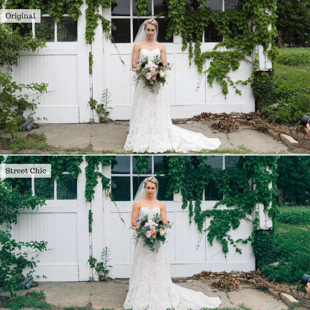 Street Chic - Single Color Palette Lightroom Presets & AI Tools