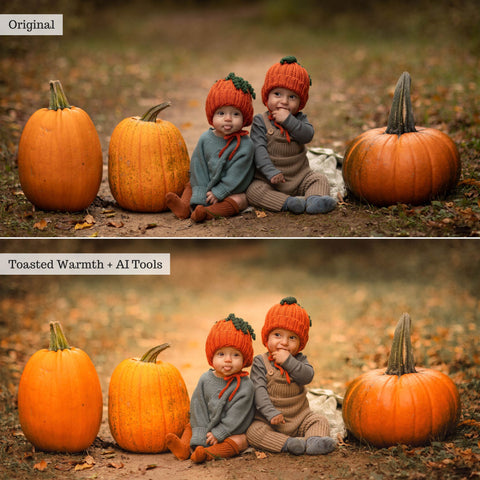 Earthy Moods 2026 Lightroom Presets & AI Powered Tools – Desktop & Mobile