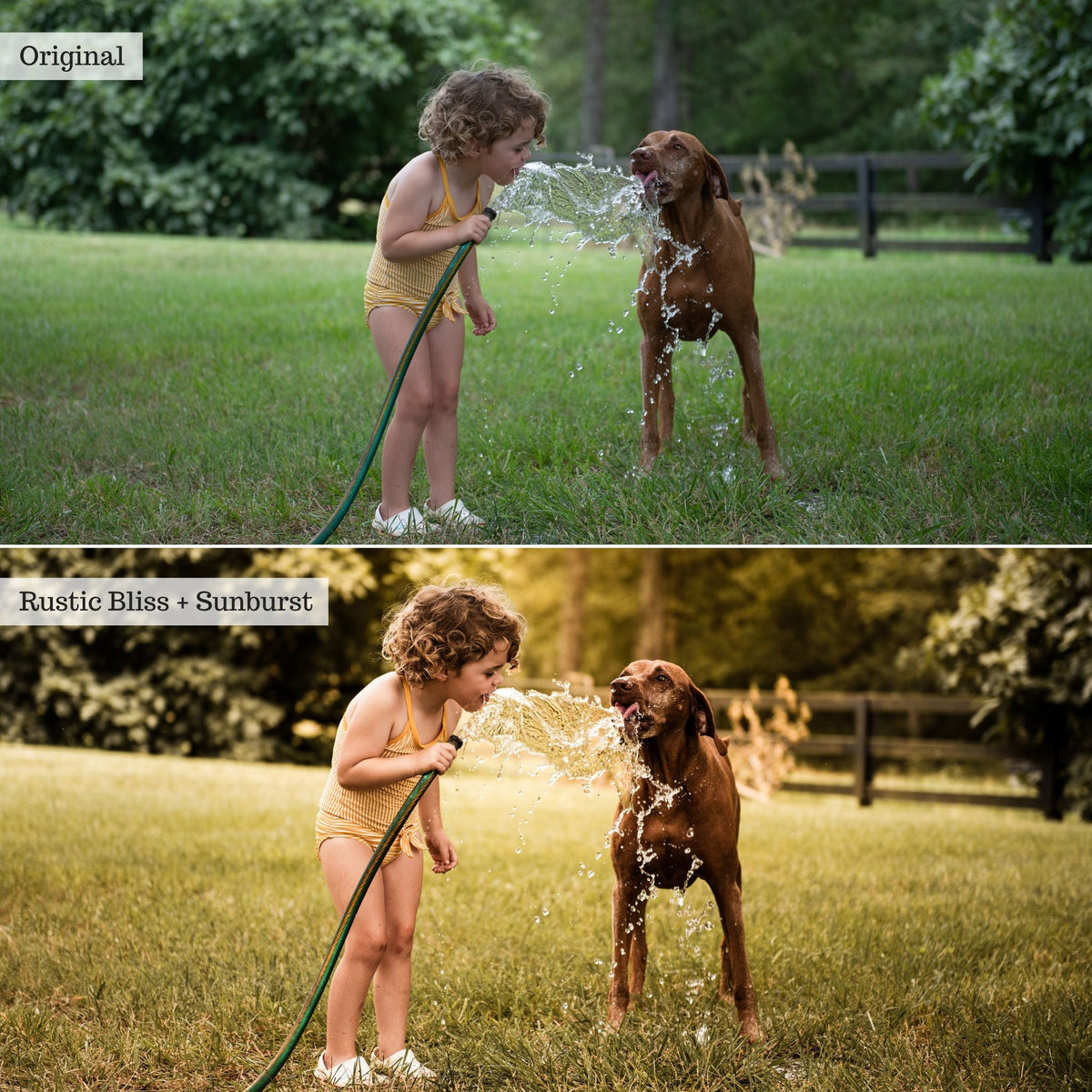 On the Farm 2.0 Lightroom Presets & AI Tools– Desktop & Mobile