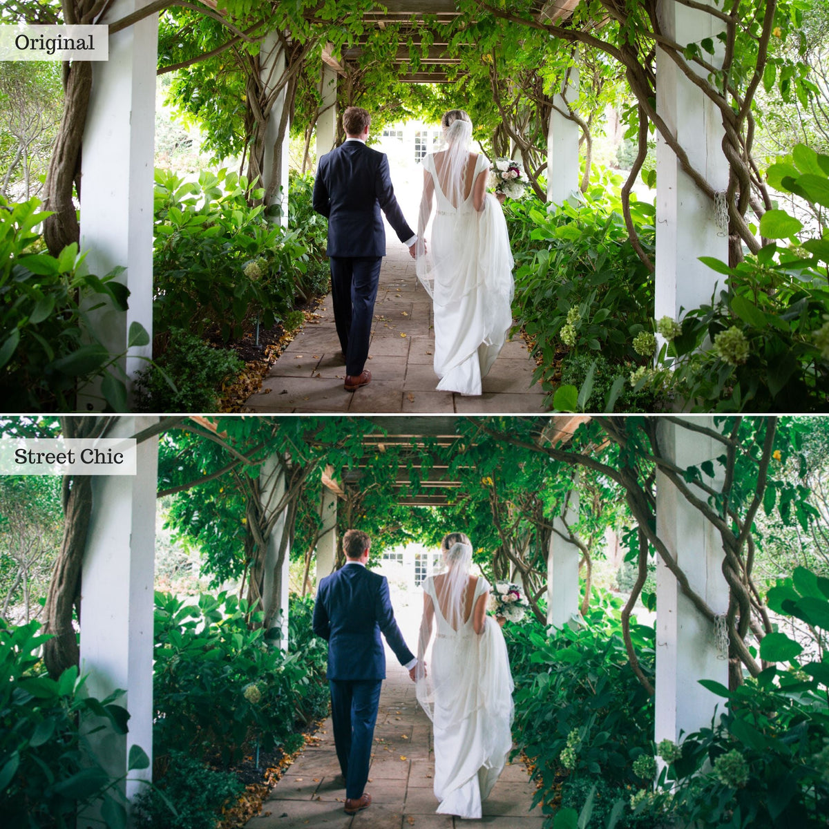 Street Chic - Single Color Palette Lightroom Presets & AI Tools