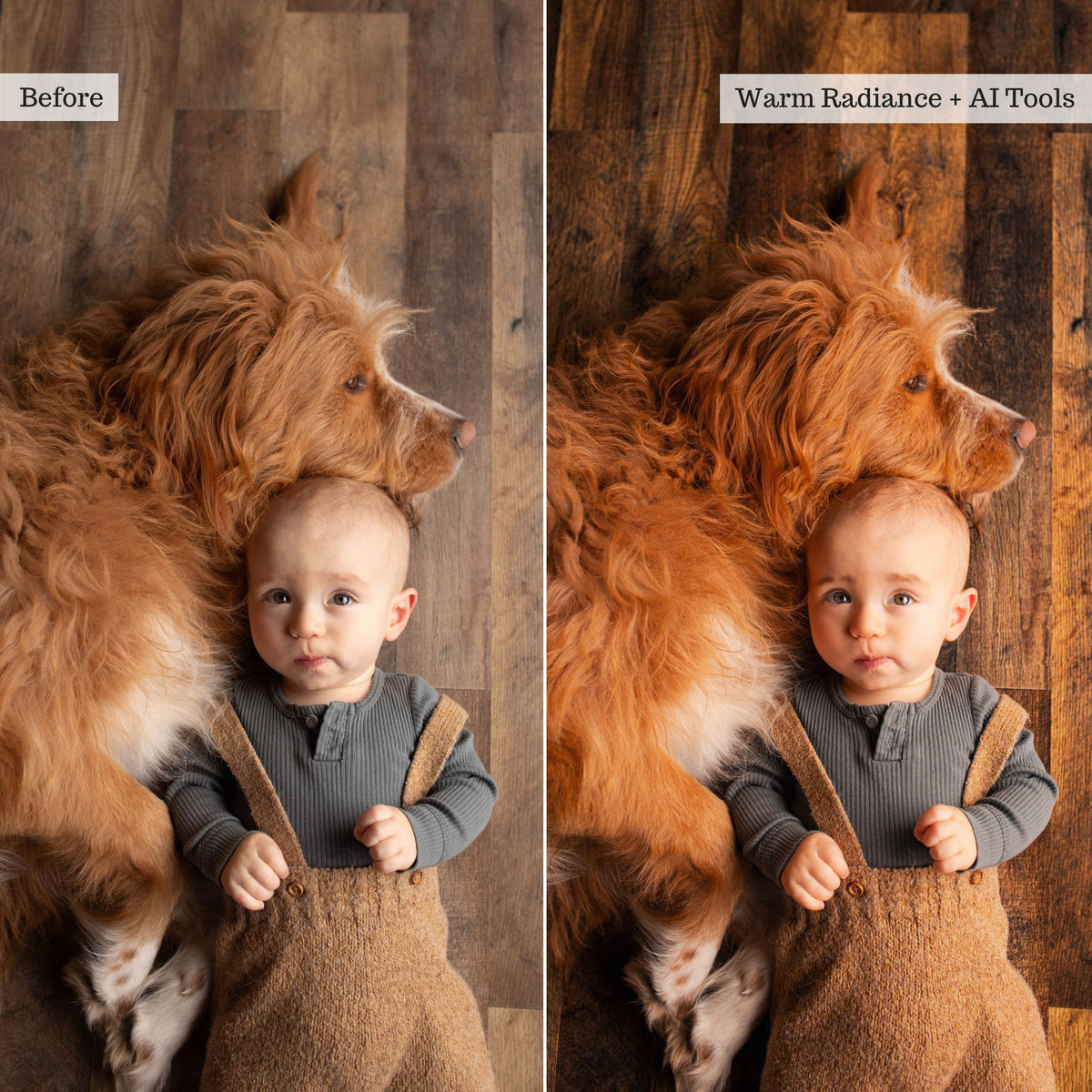 Luxe Portraits 2026 Lightroom Presets & AI Tools – Desktop & Mobile