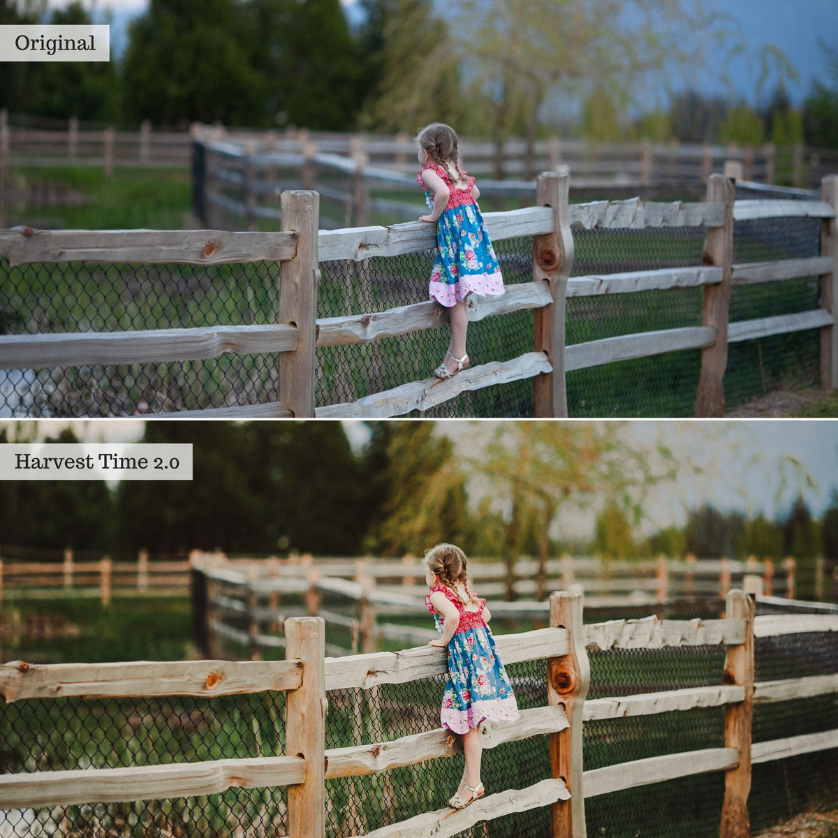 On the Farm 2.0 Lightroom Presets & AI Tools– Desktop & Mobile