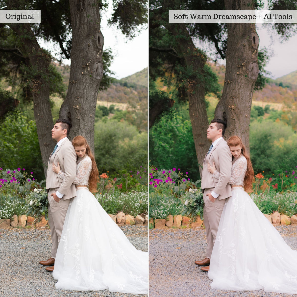 DigiFilm | Lumena 2.0 Lightroom Presets & AI Tools