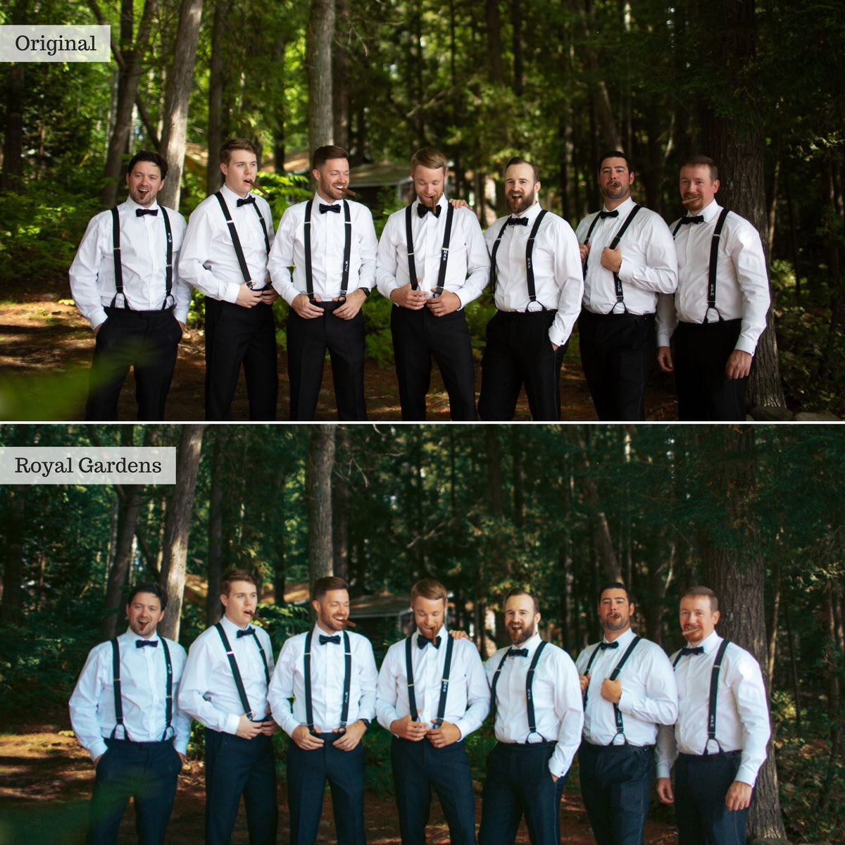 Royal Gardens -  Single Color Palette Lightroom Presets & AI Tools