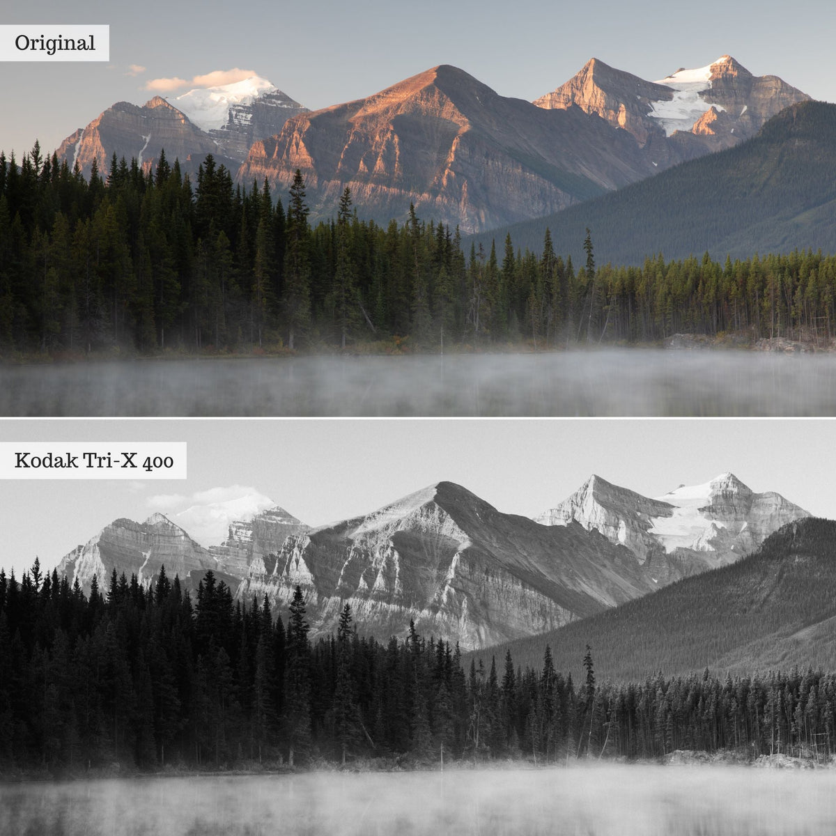 Film Essentials 2.0 Lightroom Presets – Desktop & Mobile