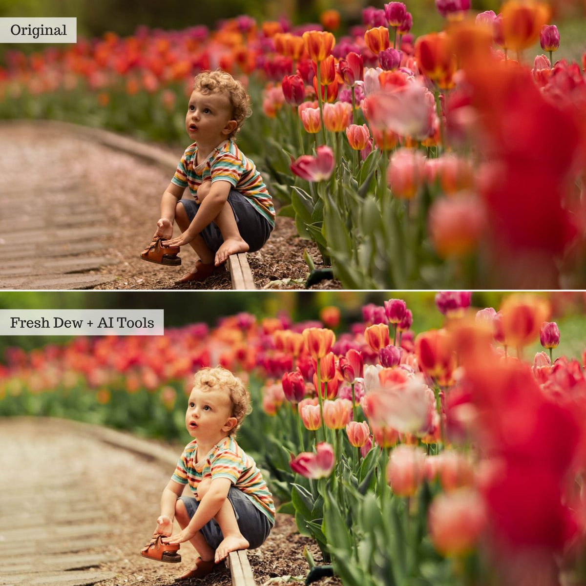 Luxe Wildflowers Spring Lightroom Presets & AI Tools – Desktop & Mobile