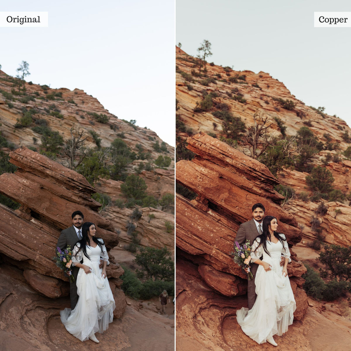 Copper -  Single Color Palette Lightroom Presets & AI Tools