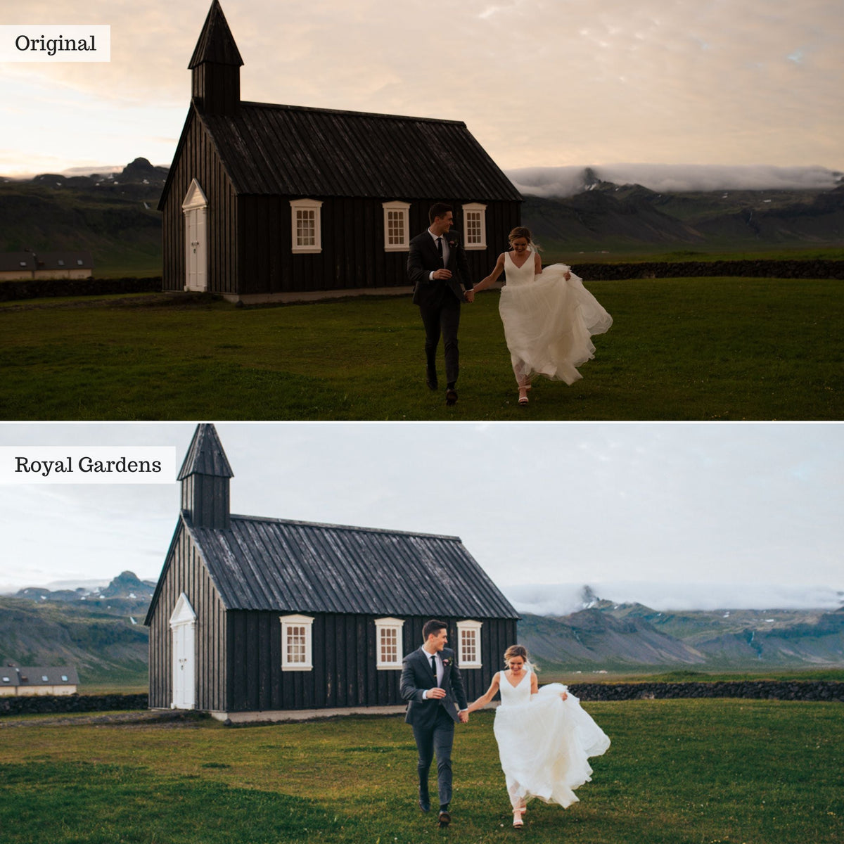 Royal Gardens -  Single Color Palette Lightroom Presets & AI Tools