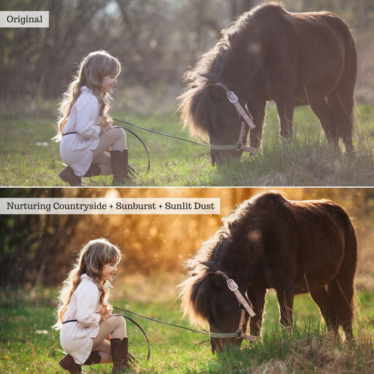 On the Farm 2.0 Lightroom Presets & AI Tools– Desktop & Mobile