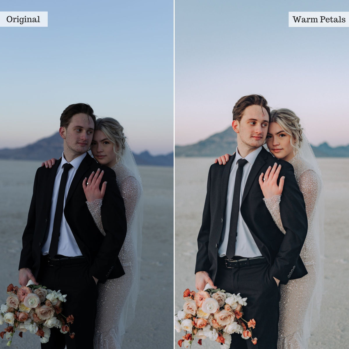 Warm Petals -  Single Color Palette Lightroom Presets & AI Tools