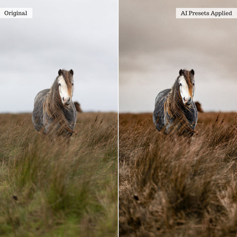2026 Everything, Entire Store Lightroom Preset Bundle (89 Collections!)