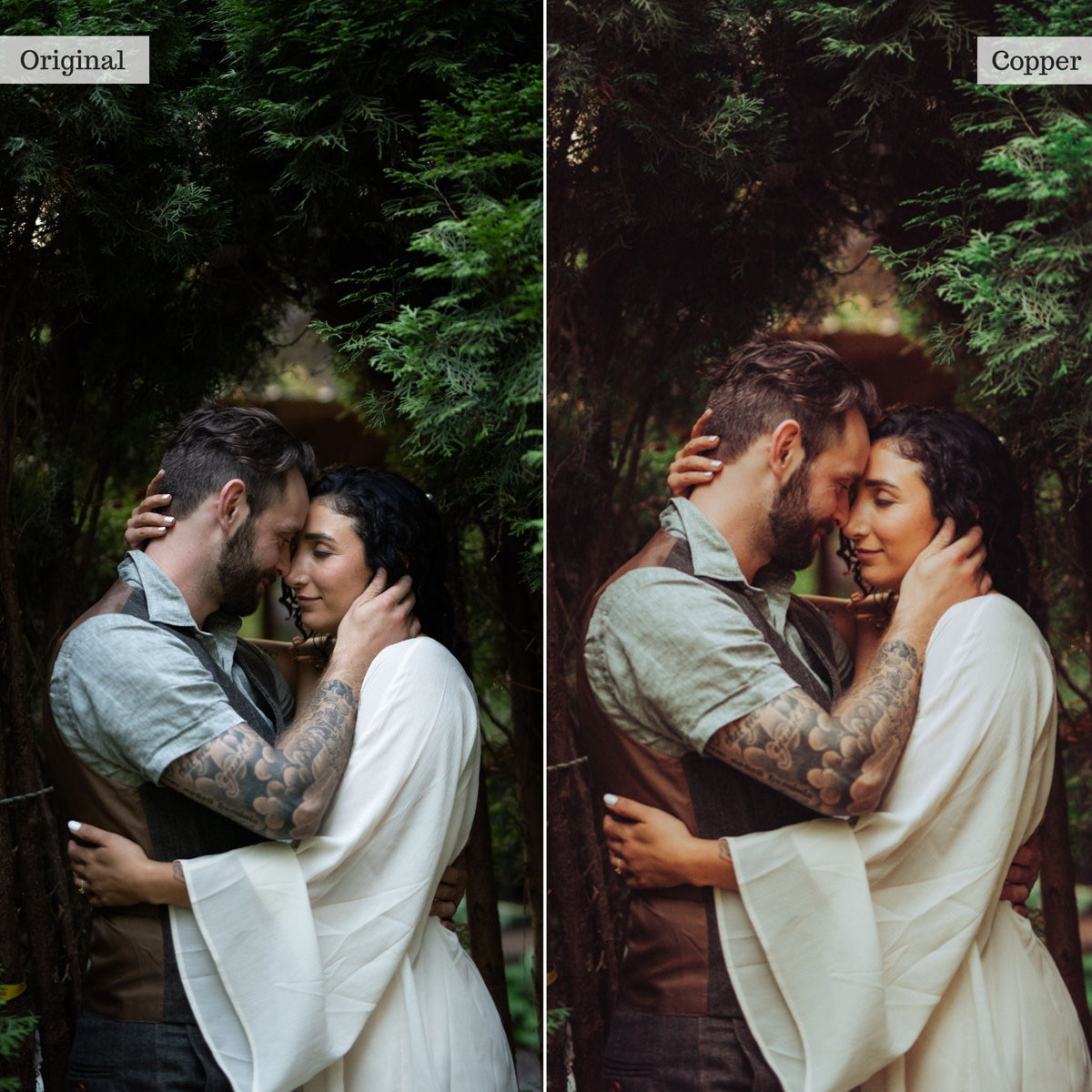 Copper -  Single Color Palette Lightroom Presets & AI Tools