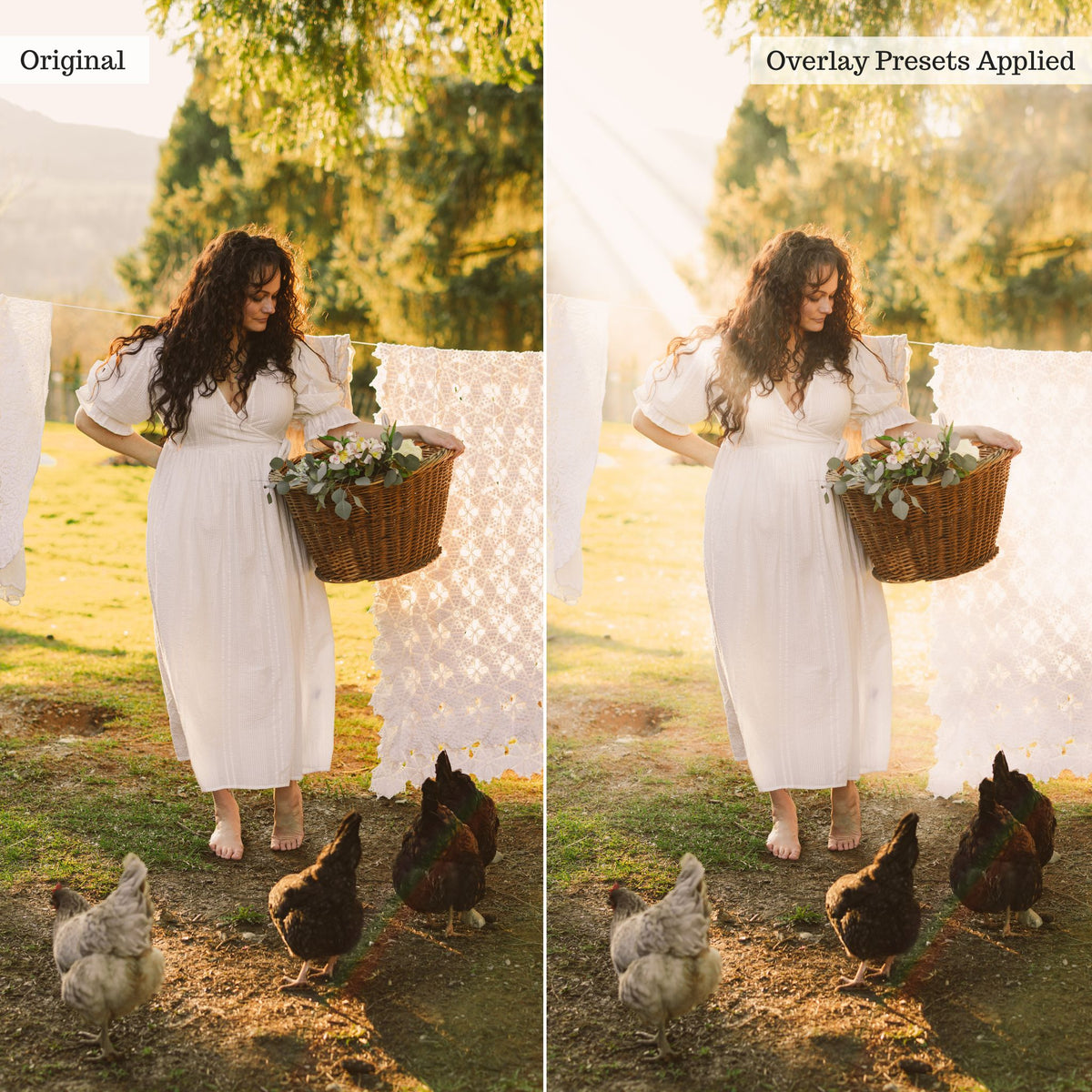 Luxe Overlay Lightroom Presets – Desktop & Mobile