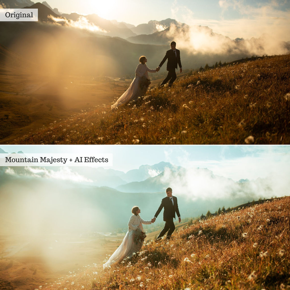 ColorMade Lightroom Preset Bundle (13 collections)