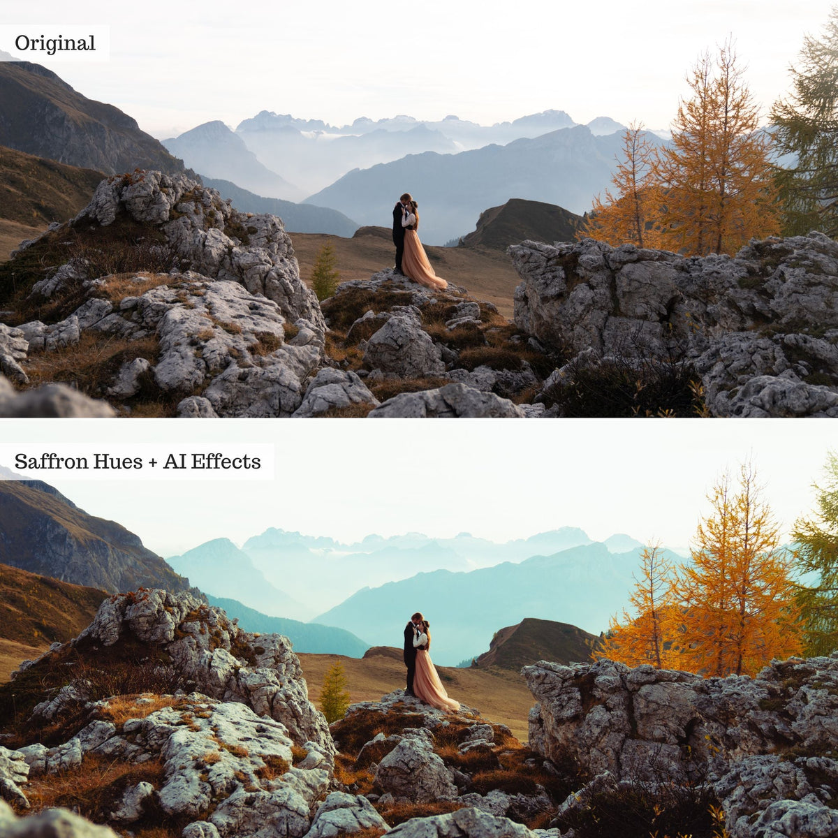 ColorMade Lightroom Preset Bundle (13 collections)