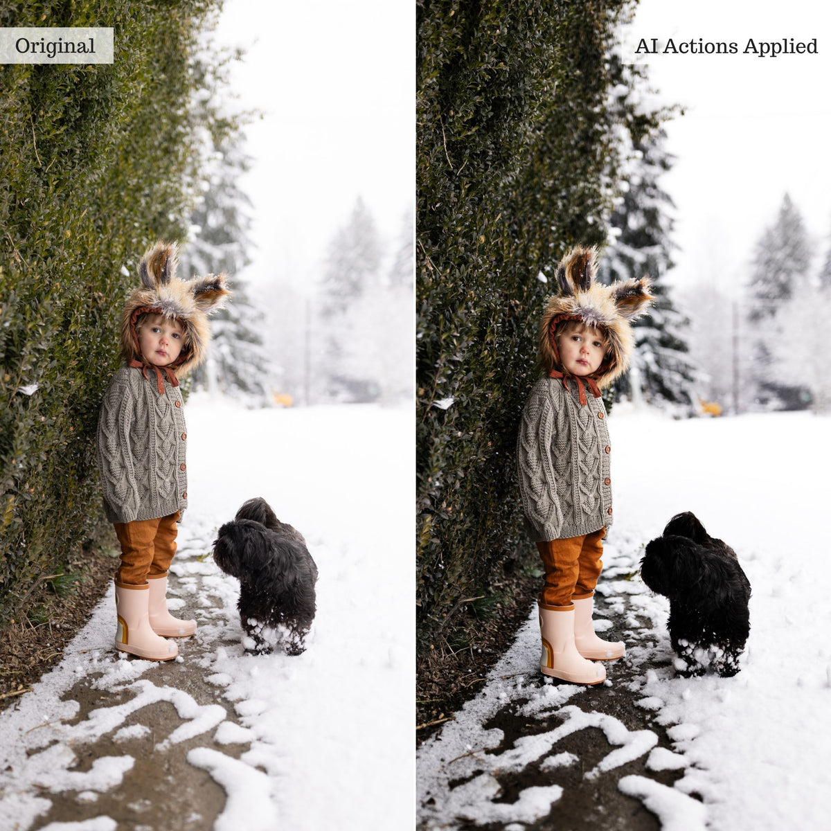 Luxe Quick Fix AI Photoshop Actions
