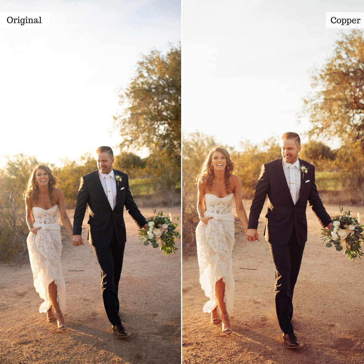 Copper -  Single Color Palette Lightroom Presets & AI Tools