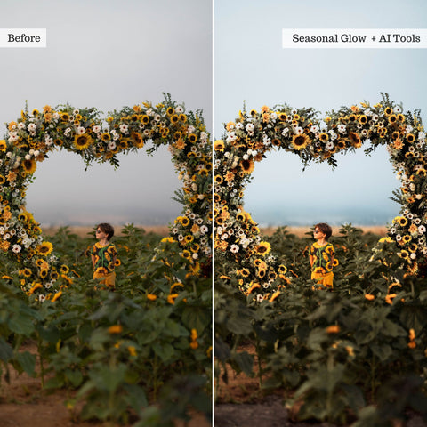 Earthy Moods 2026 Lightroom Presets & AI Powered Tools – Desktop & Mobile