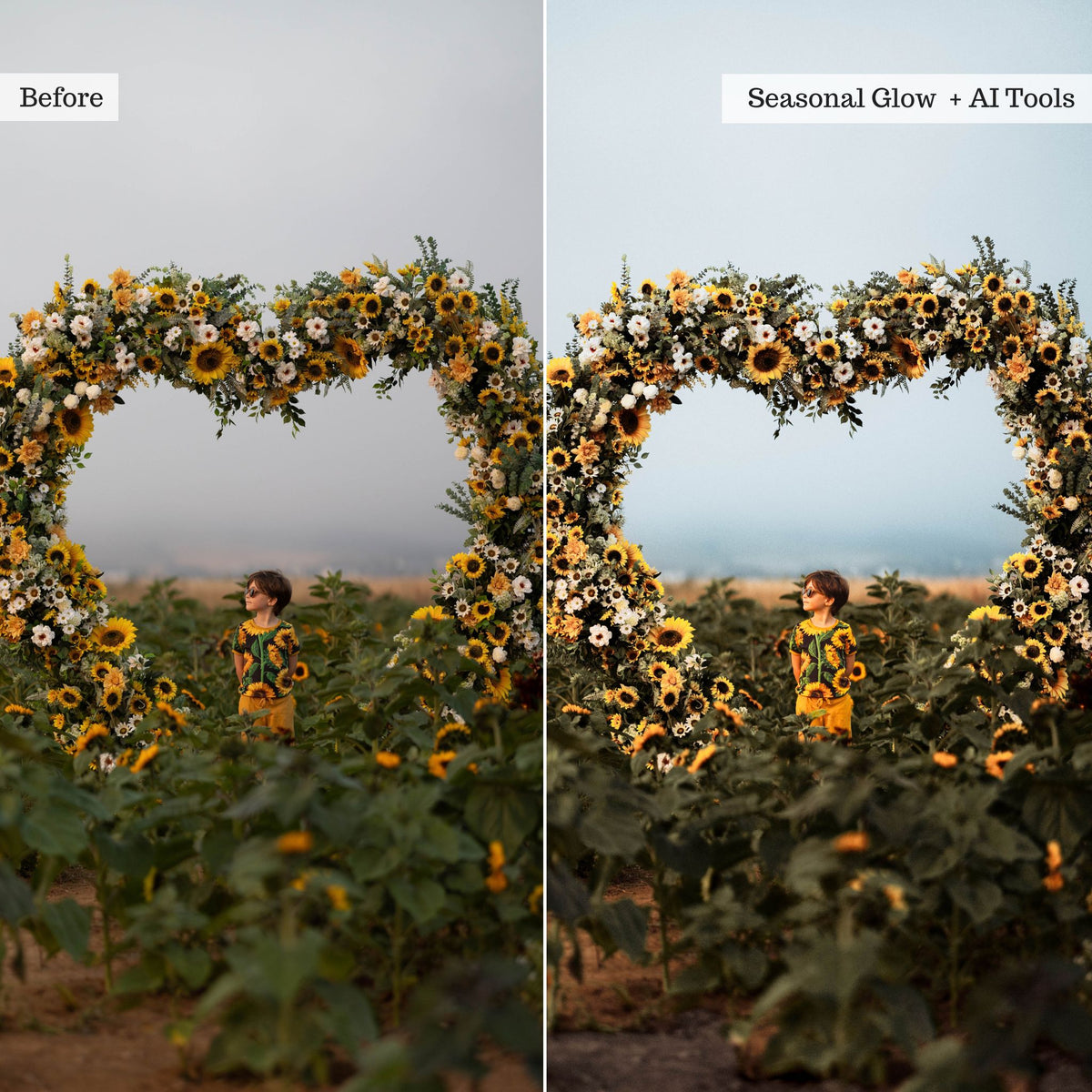 Earthy Moods 2026 Lightroom Presets & AI Powered Tools – Desktop & Mobile