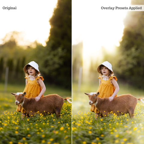 Luxe Overlay Lightroom Presets – Desktop & Mobile