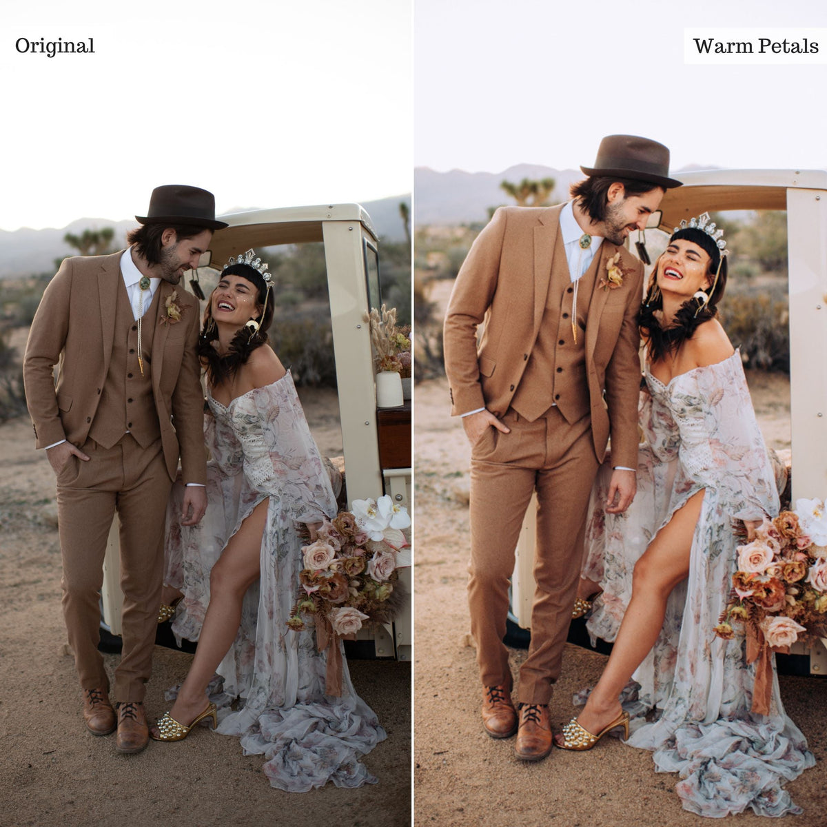 Warm Petals -  Single Color Palette Lightroom Presets & AI Tools