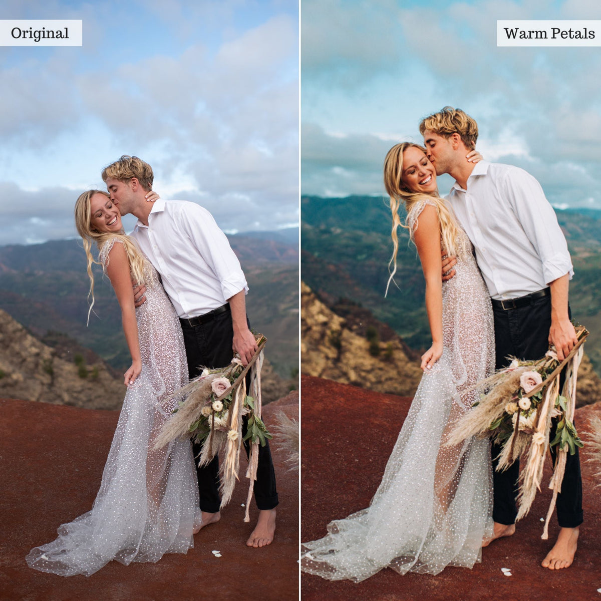 Warm Petals -  Single Color Palette Lightroom Presets & AI Tools