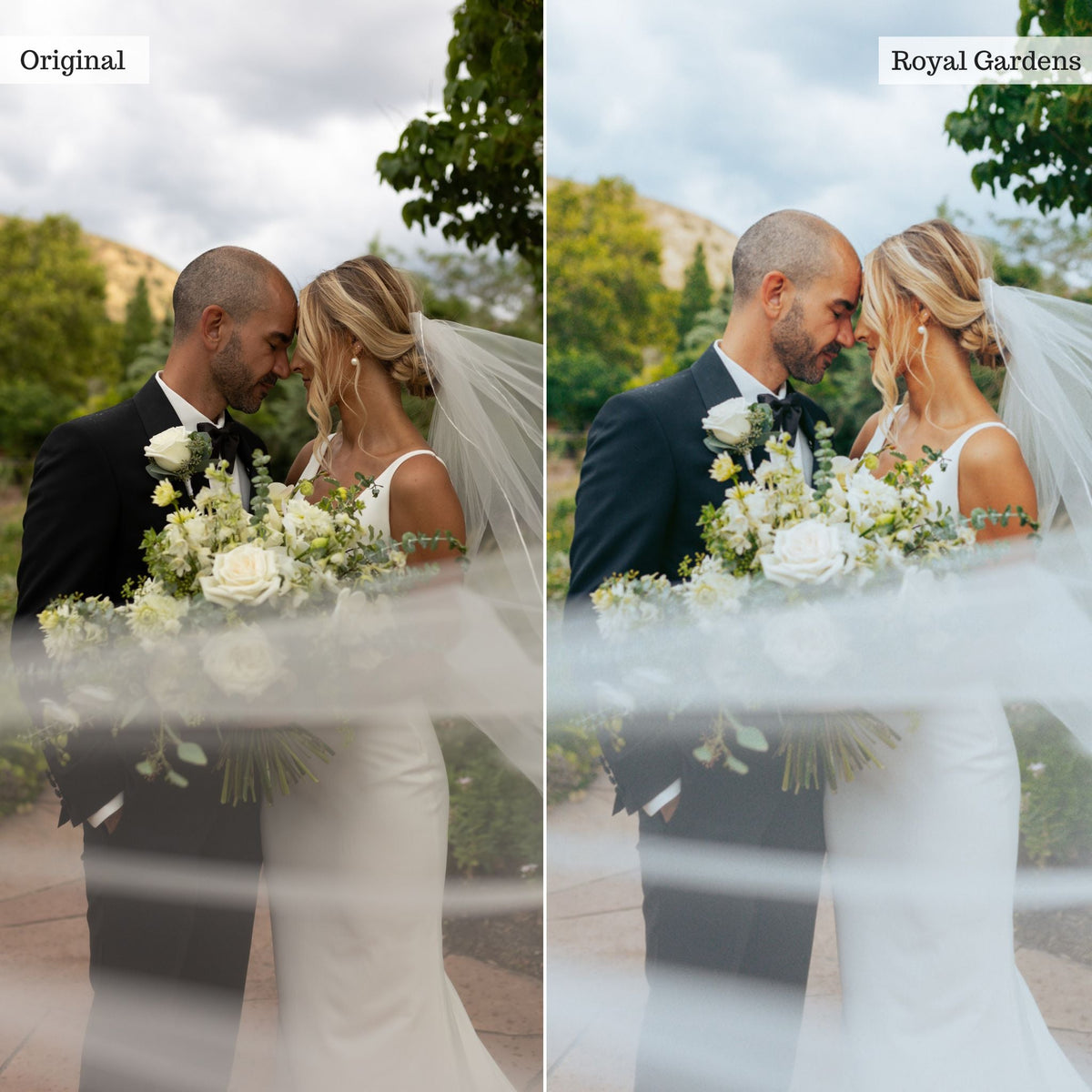 Royal Gardens -  Single Color Palette Lightroom Presets & AI Tools