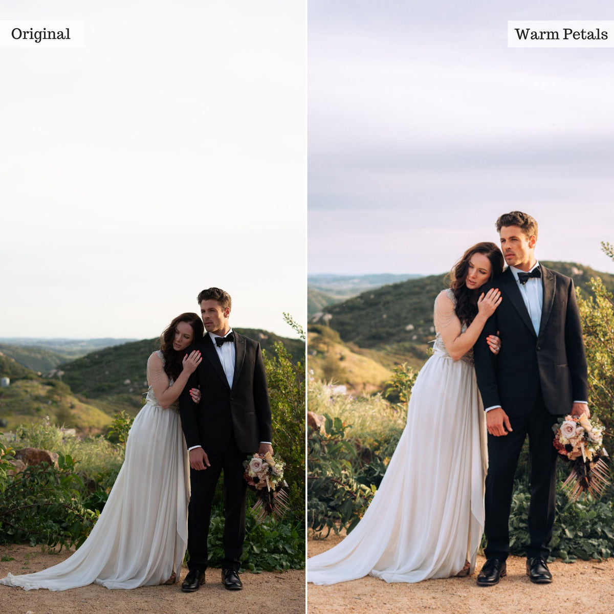 Warm Petals -  Single Color Palette Lightroom Presets & AI Tools