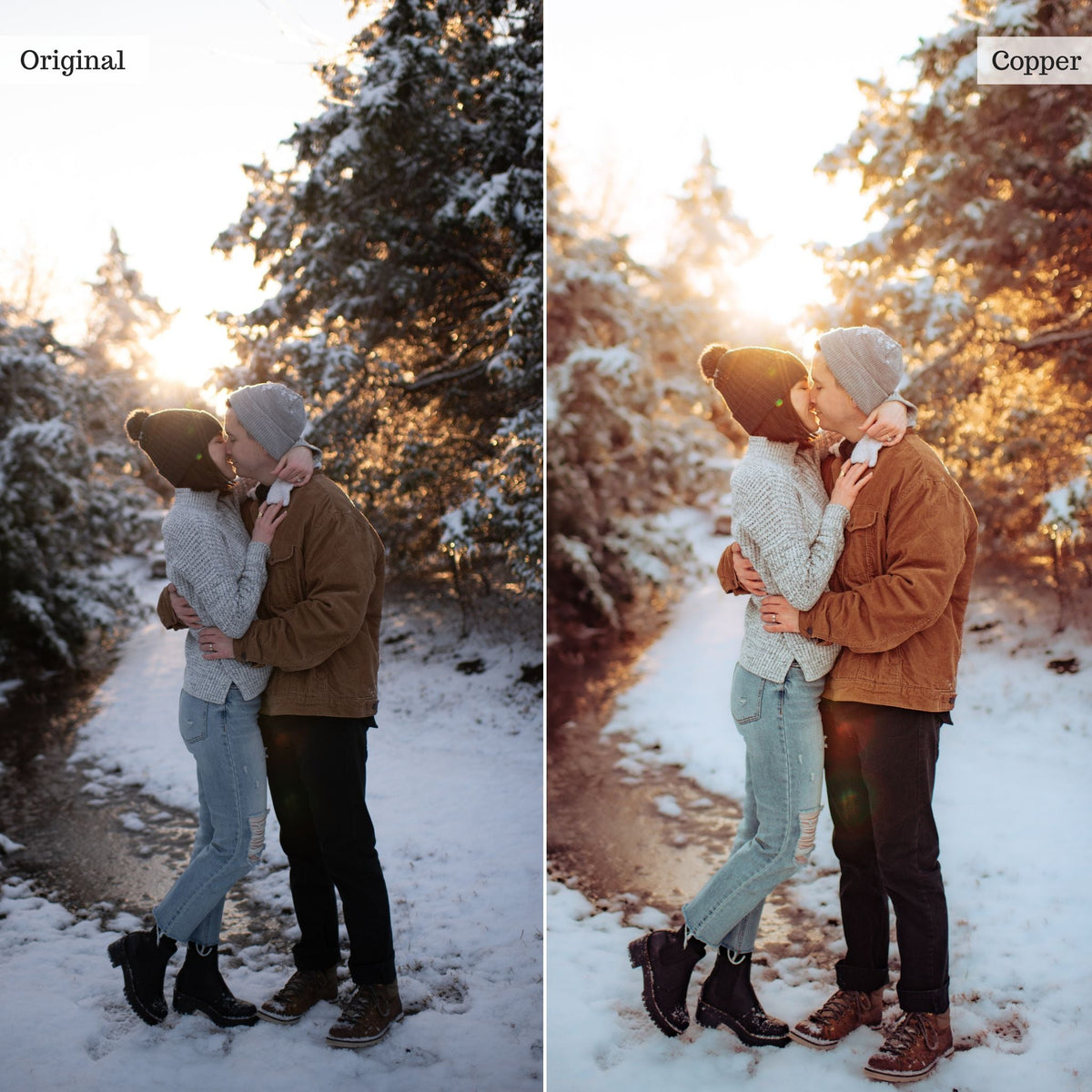 Copper -  Single Color Palette Lightroom Presets & AI Tools