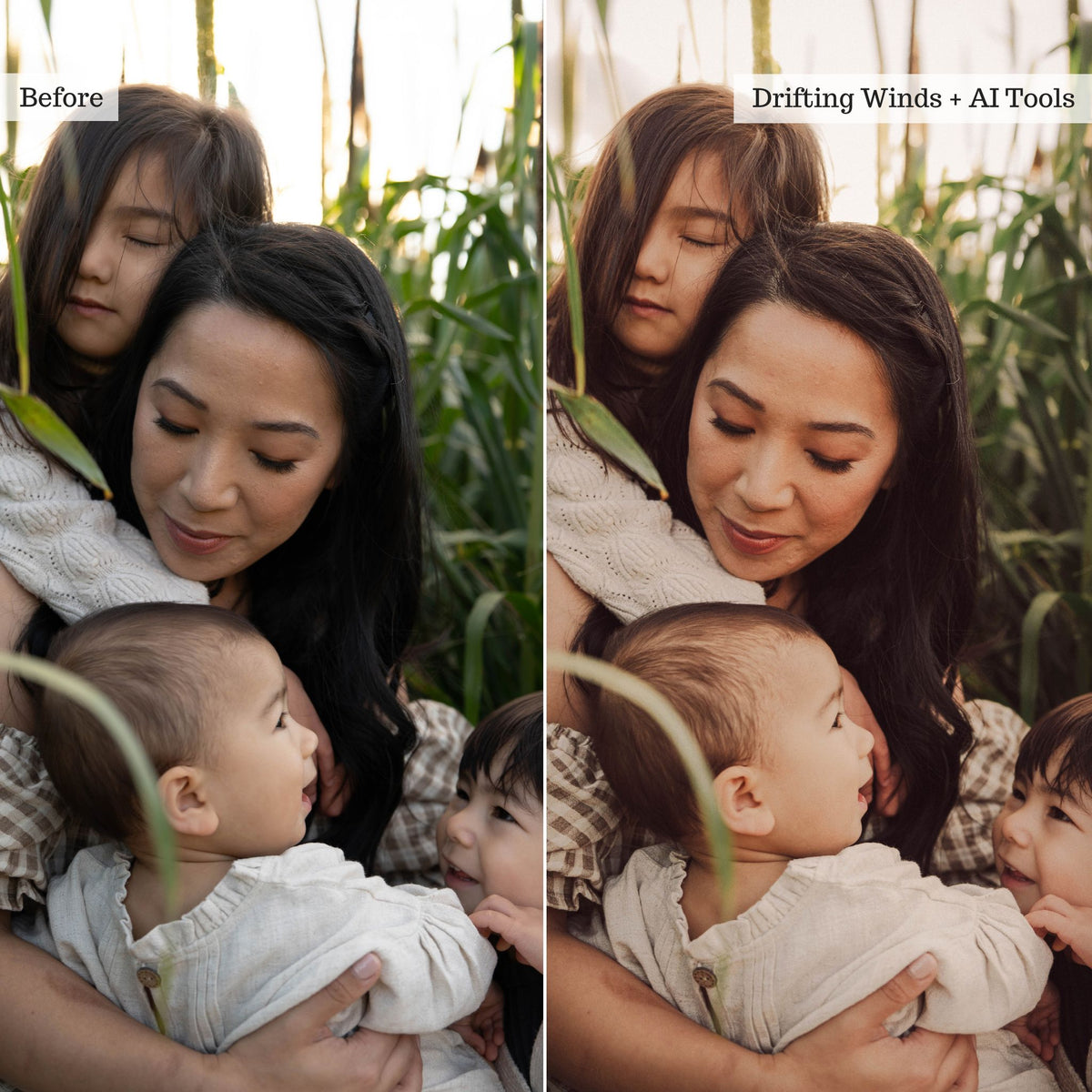 Earthy Moods 2026 Lightroom Presets & AI Powered Tools – Desktop & Mobile