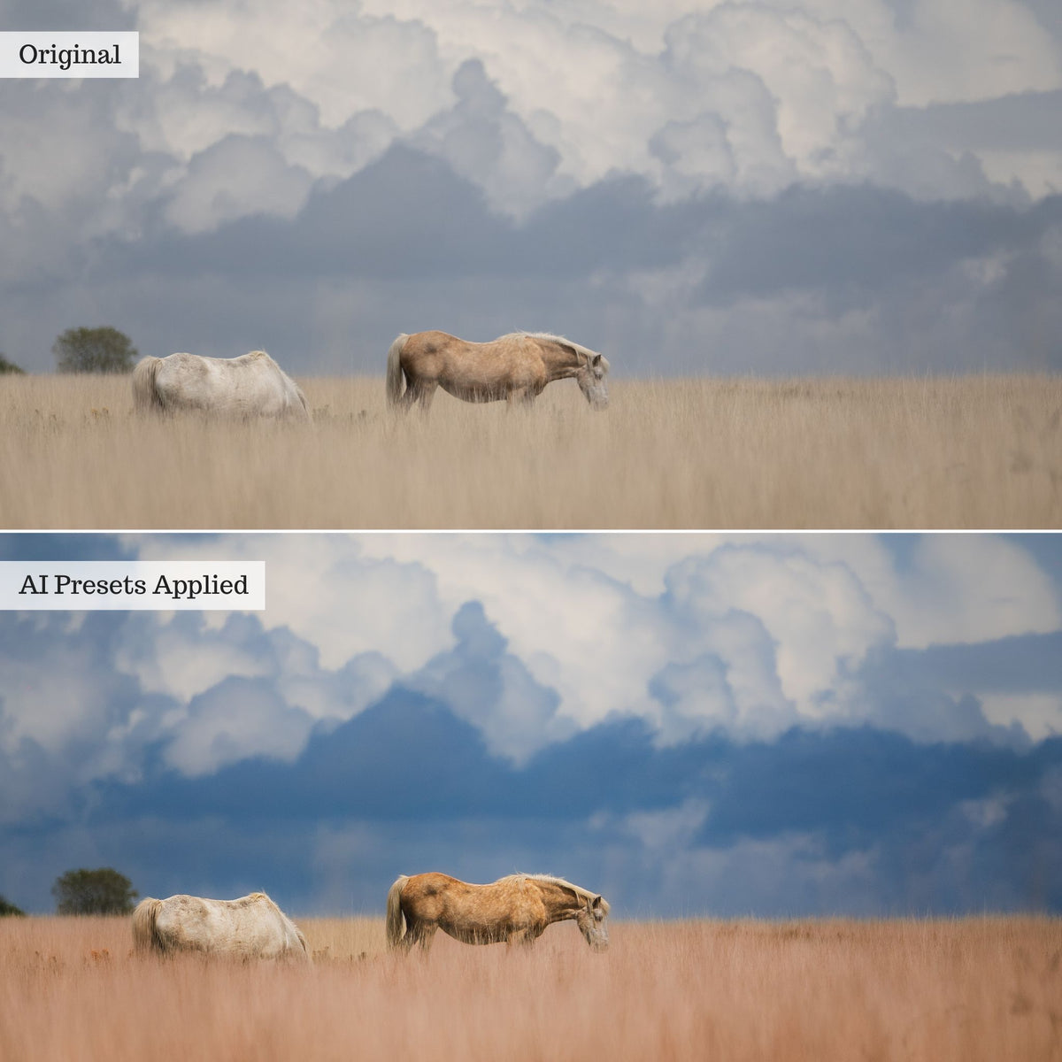 Landscape, Wildlife & Animals AI Adaptive Retouch Toolkit Lightroom Presets – Desktop & Mobile