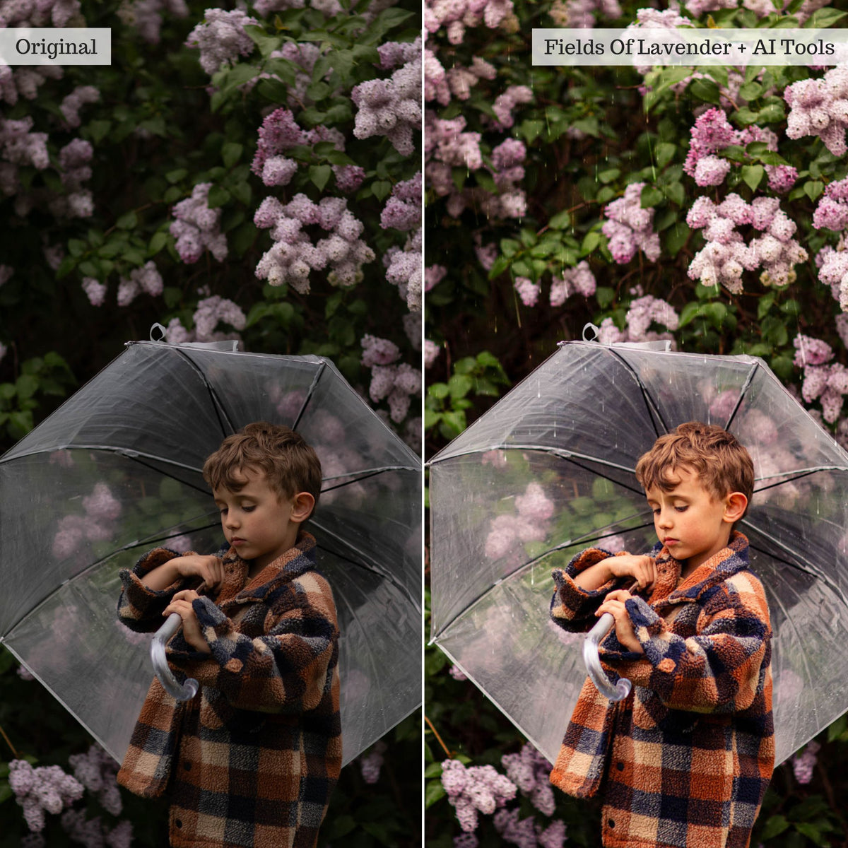 Luxe Wildflowers Spring Lightroom Presets & AI Tools – Desktop & Mobile