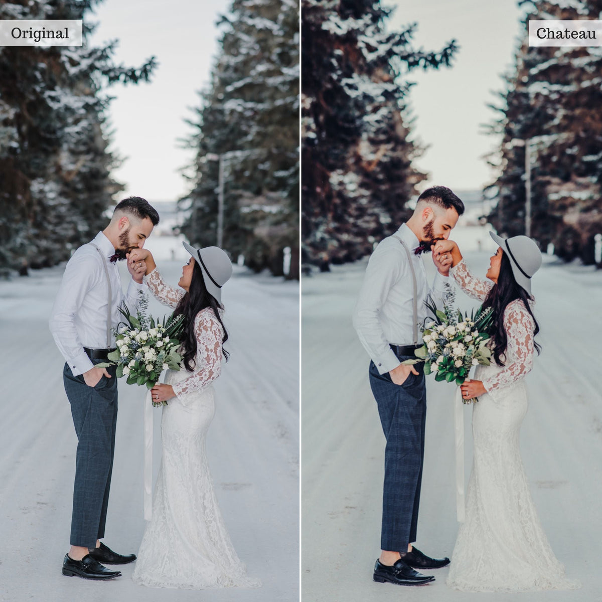 Chateau - Single Color Palette Lightroom Presets & AI Tools