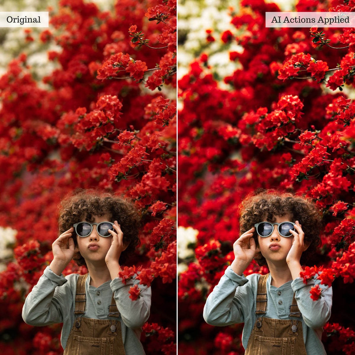 Luxe Quick Fix AI Photoshop Actions