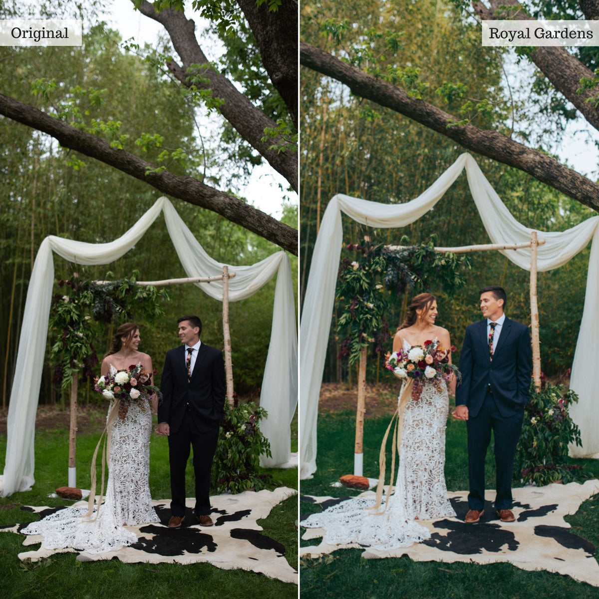 Royal Gardens -  Single Color Palette Lightroom Presets & AI Tools