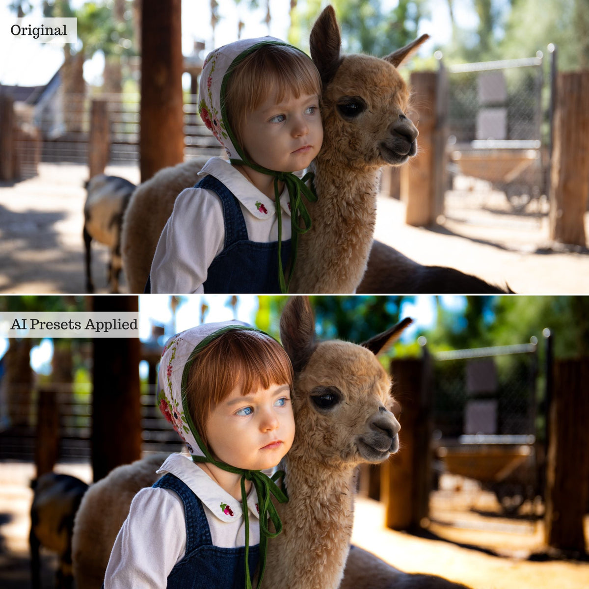 Luxe Portrait AI Adaptive Retouch Toolkit Lightroom Presets – Desktop & Mobile