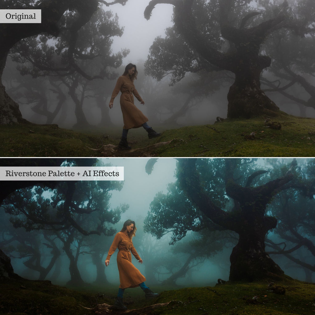 ColorMade Lightroom Preset Bundle (13 collections)