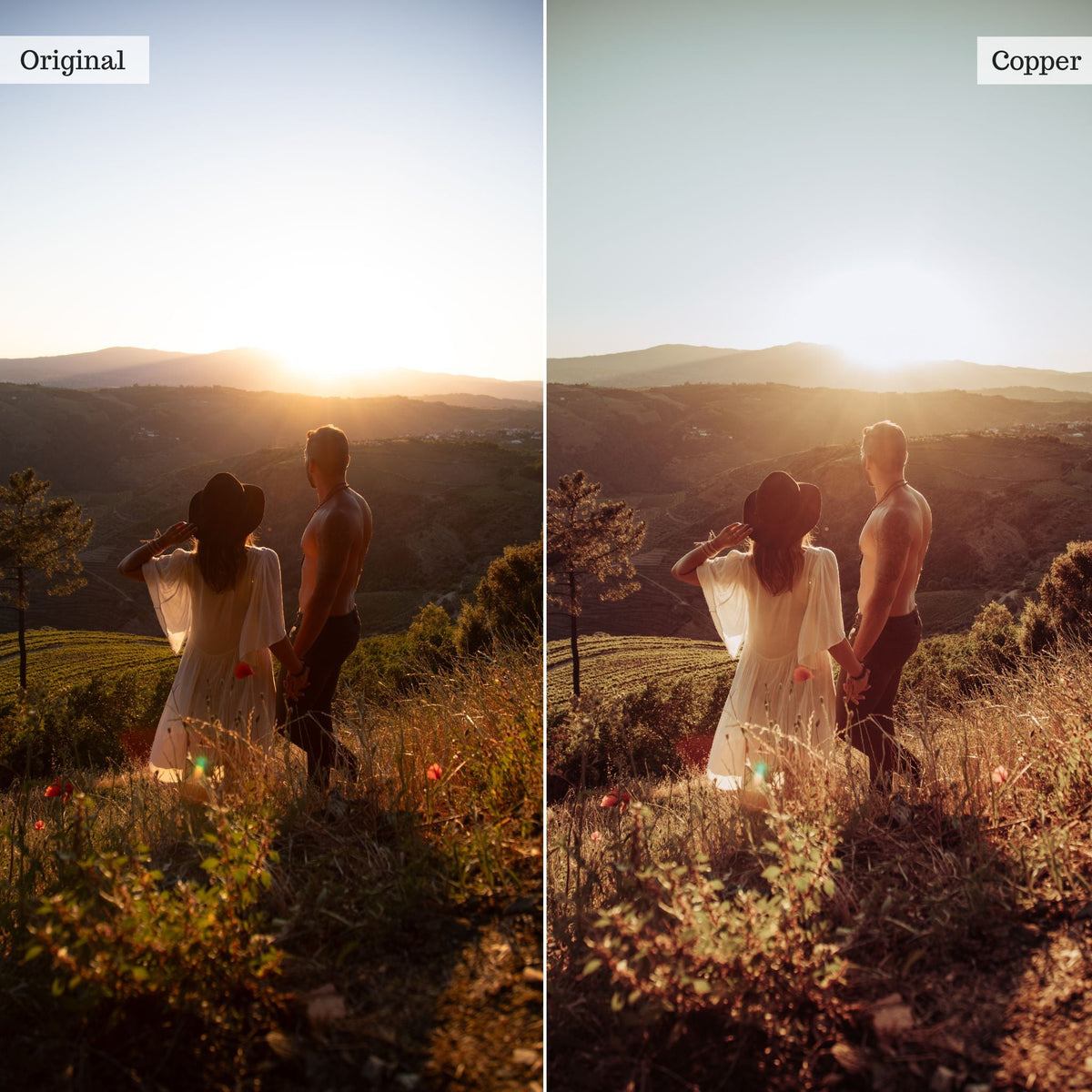 Copper -  Single Color Palette Lightroom Presets & AI Tools