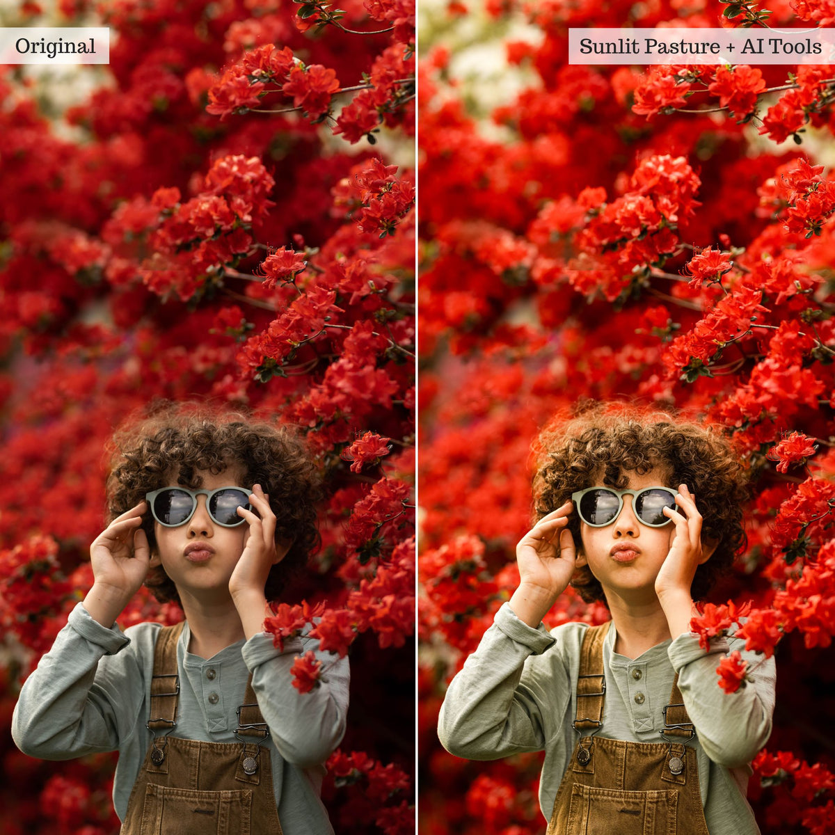 Luxe Wildflowers Spring Lightroom Presets & AI Tools – Desktop & Mobile