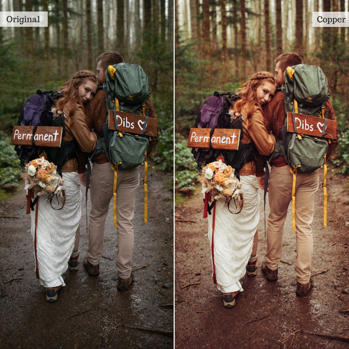 Copper -  Single Color Palette Lightroom Presets & AI Tools