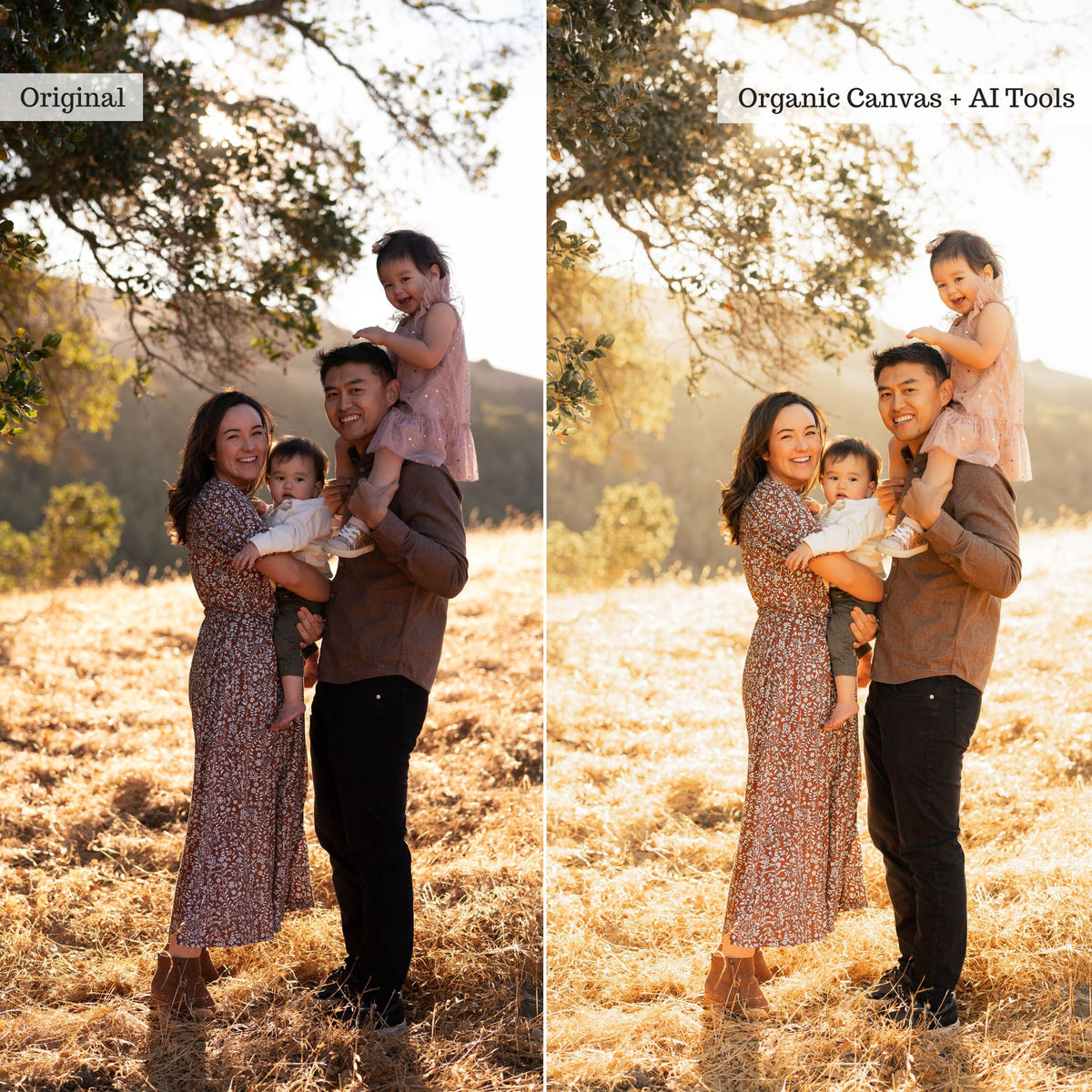 Luxe Golden Hour 2.0 Lightroom Presets – Desktop & Mobile