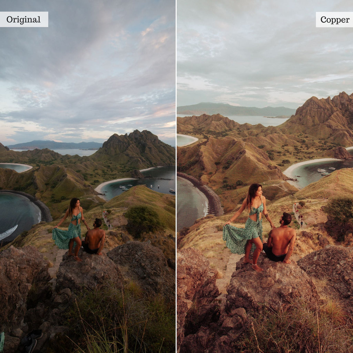 Copper -  Single Color Palette Lightroom Presets & AI Tools