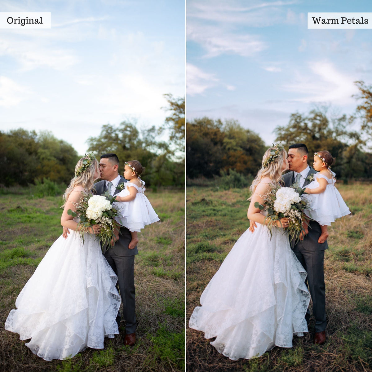 Warm Petals -  Single Color Palette Lightroom Presets & AI Tools