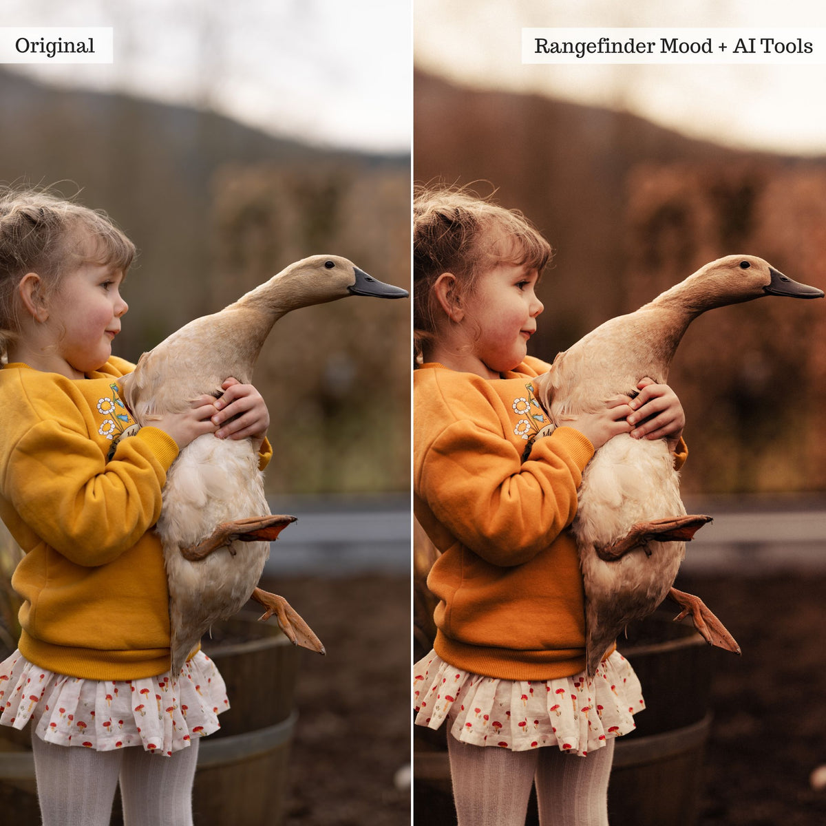 Portraits Preset Bundle (14 collections) for Lightroom & Photoshop
