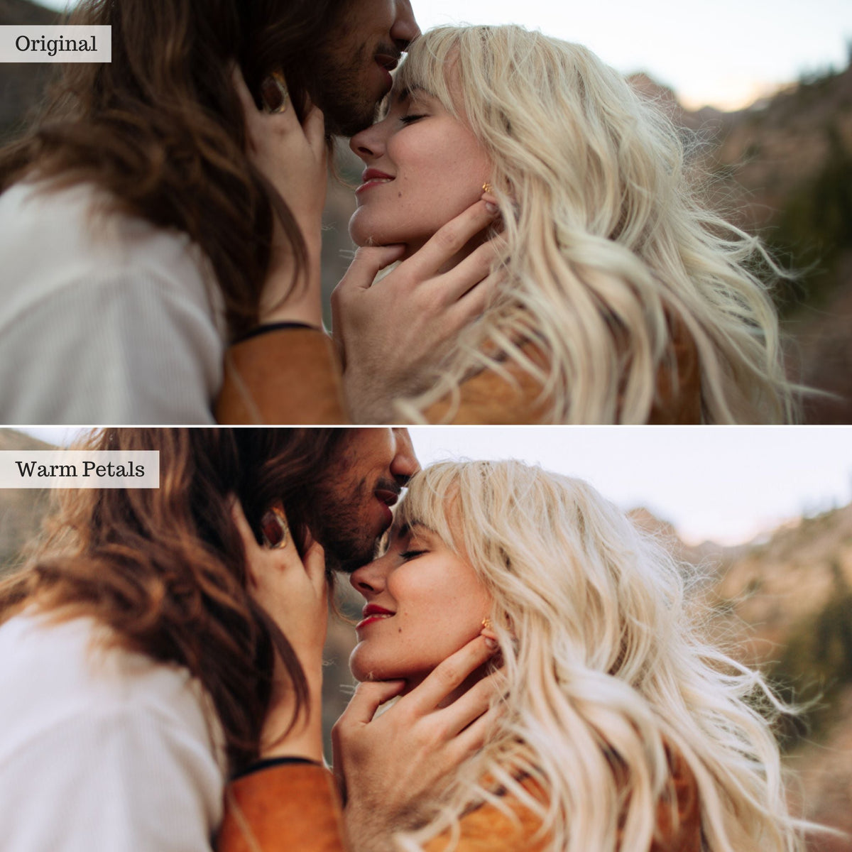 Warm Petals -  Single Color Palette Lightroom Presets & AI Tools