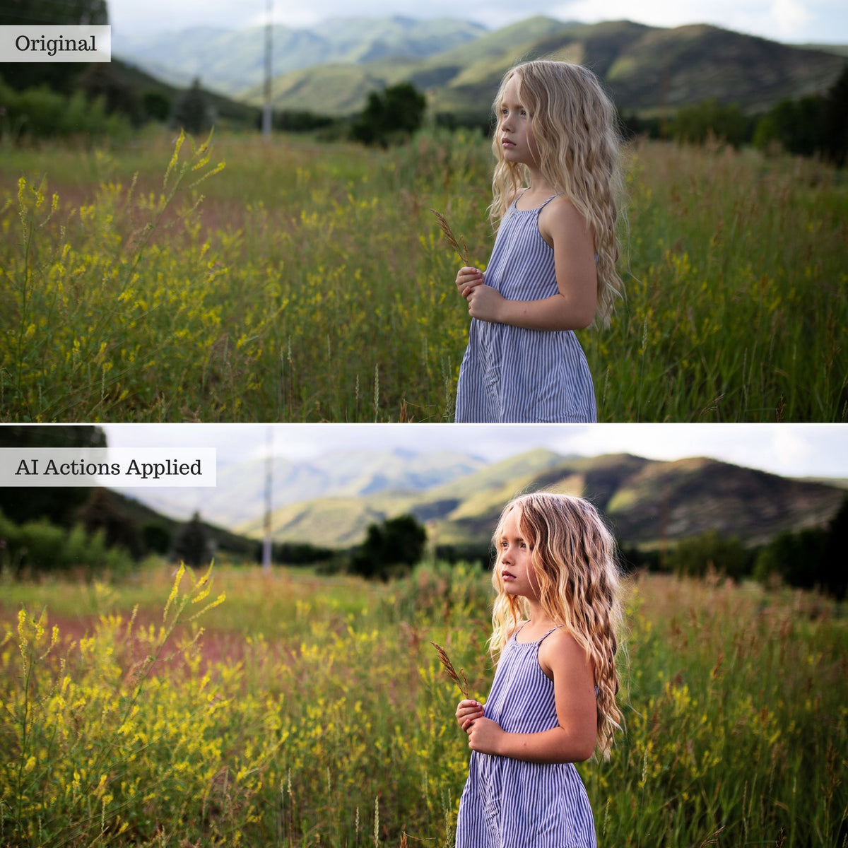 Luxe Quick Fix AI Photoshop Actions